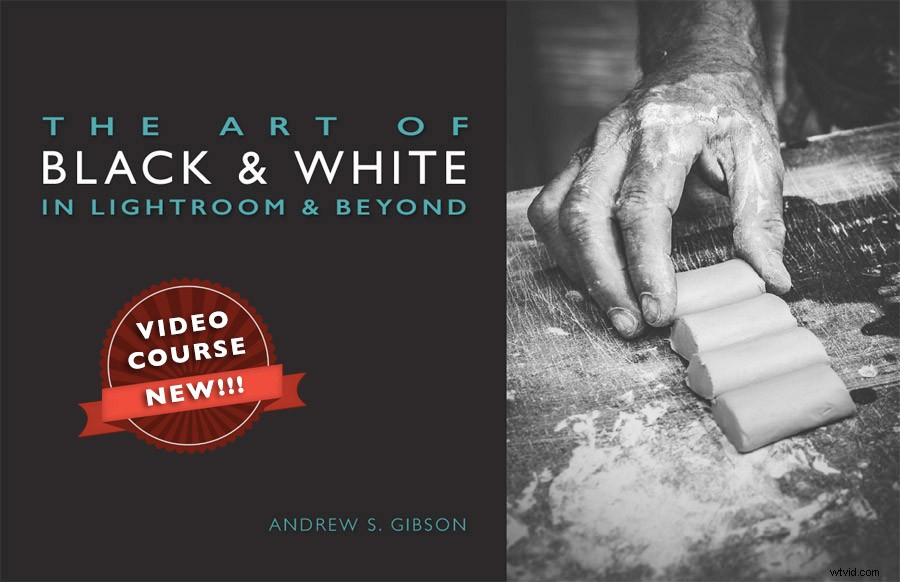 Master Black & White Photography: Lightroom Techniques and Beyond