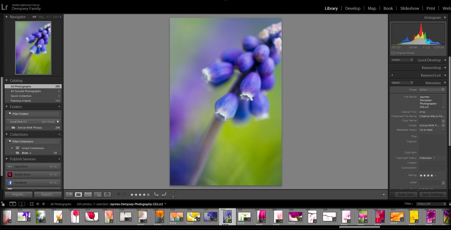 4 Quick Lightroom Edits to Make Your Photos Stand Out