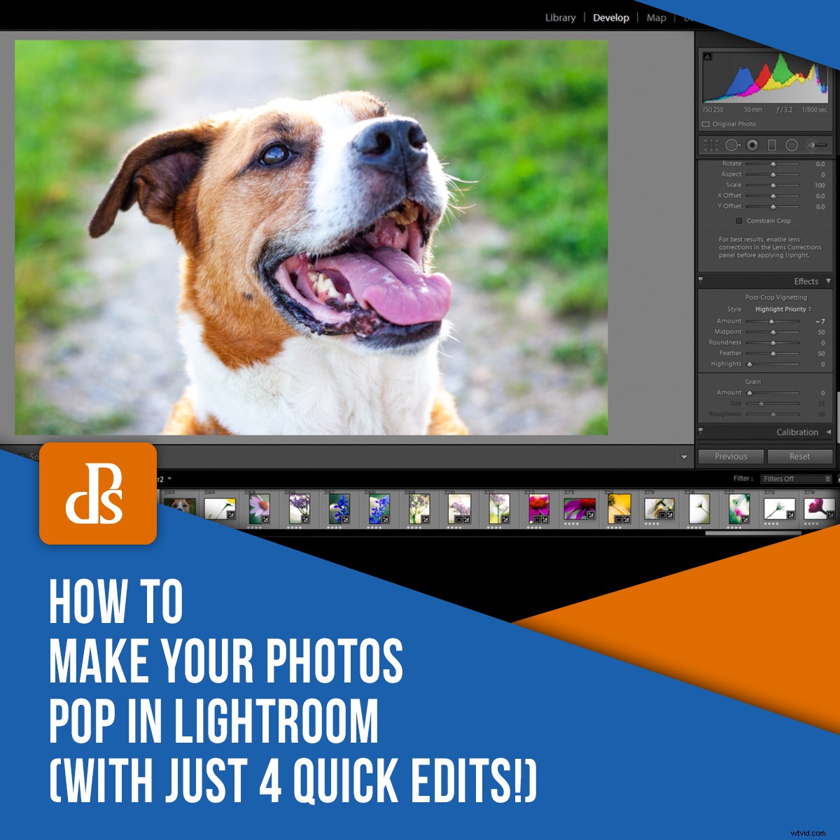 4 Quick Lightroom Edits to Make Your Photos Stand Out