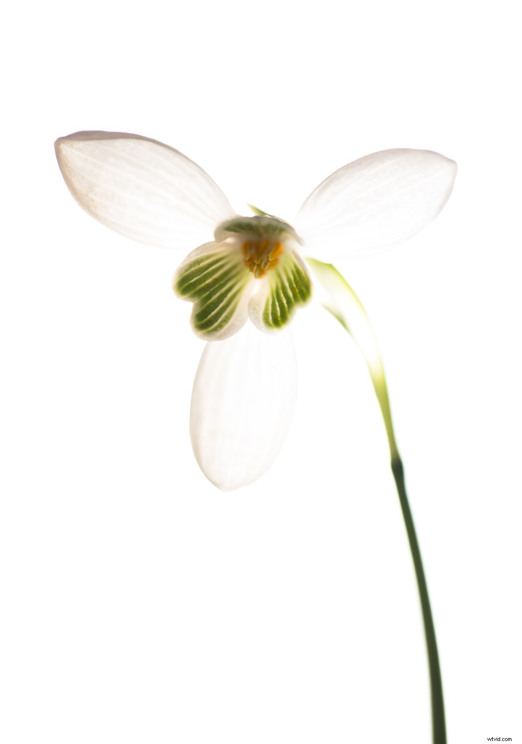 4 Quick Lightroom Edits to Make Your Photos Stand Out