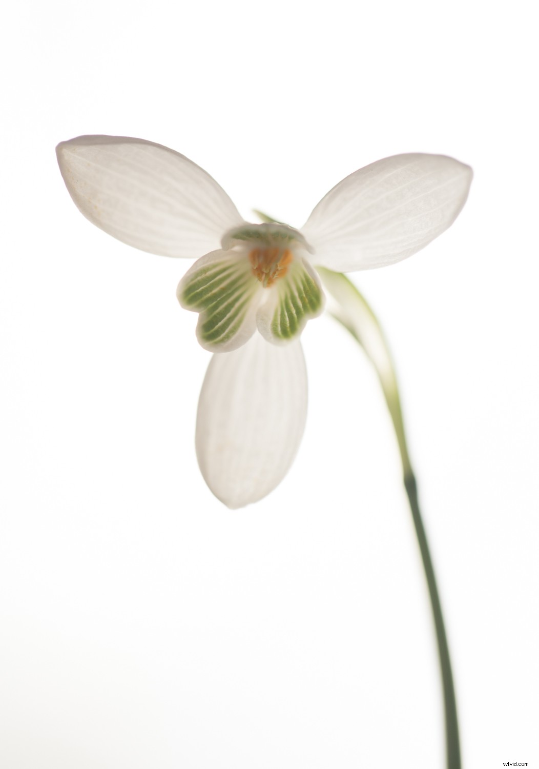 4 Quick Lightroom Edits to Make Your Photos Stand Out