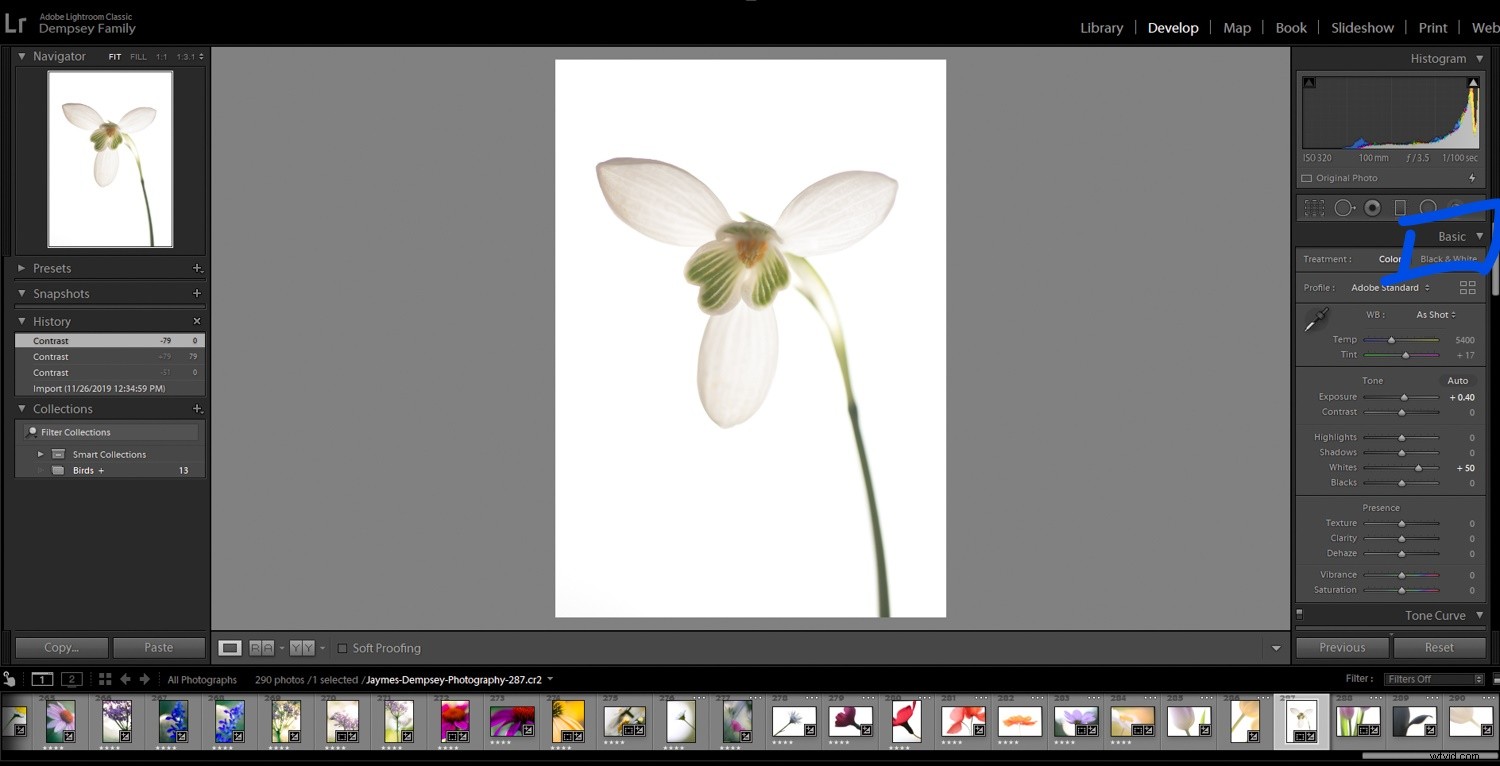 4 Quick Lightroom Edits to Make Your Photos Stand Out