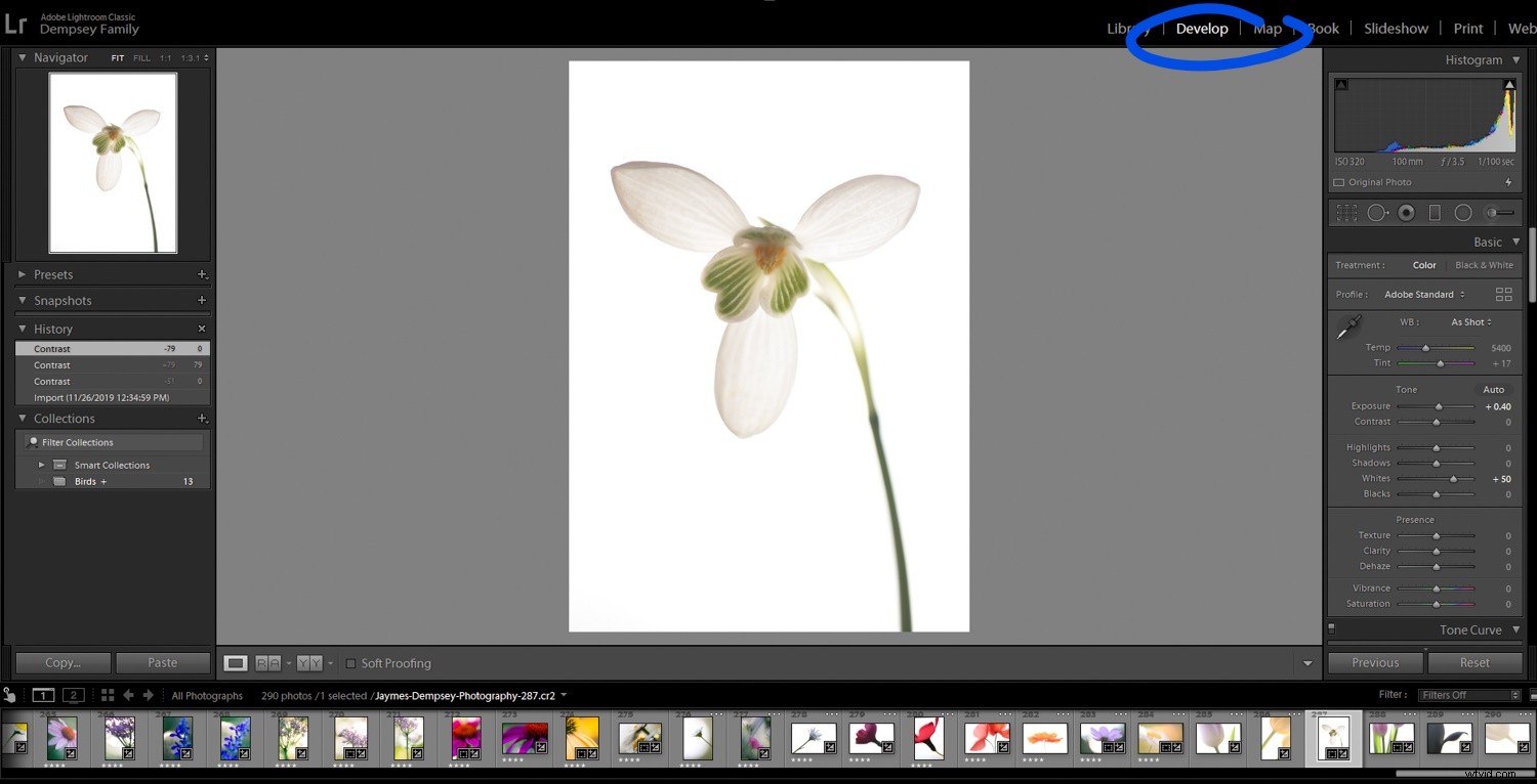 4 Quick Lightroom Edits to Make Your Photos Stand Out