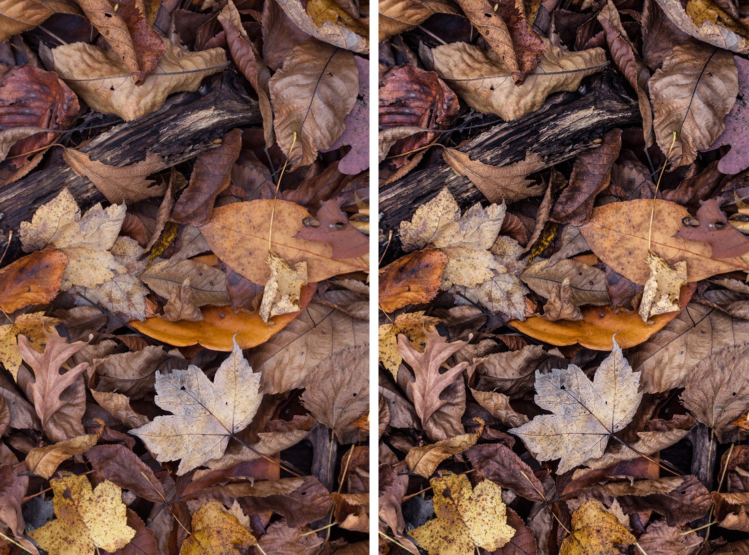 4 Quick Lightroom Edits to Make Your Photos Stand Out