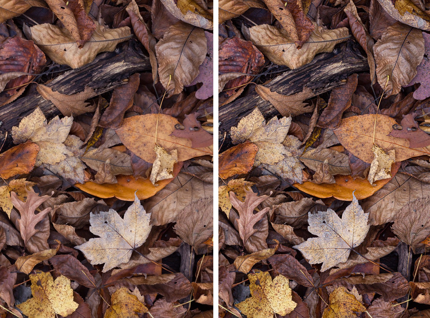 4 Quick Lightroom Edits to Make Your Photos Stand Out