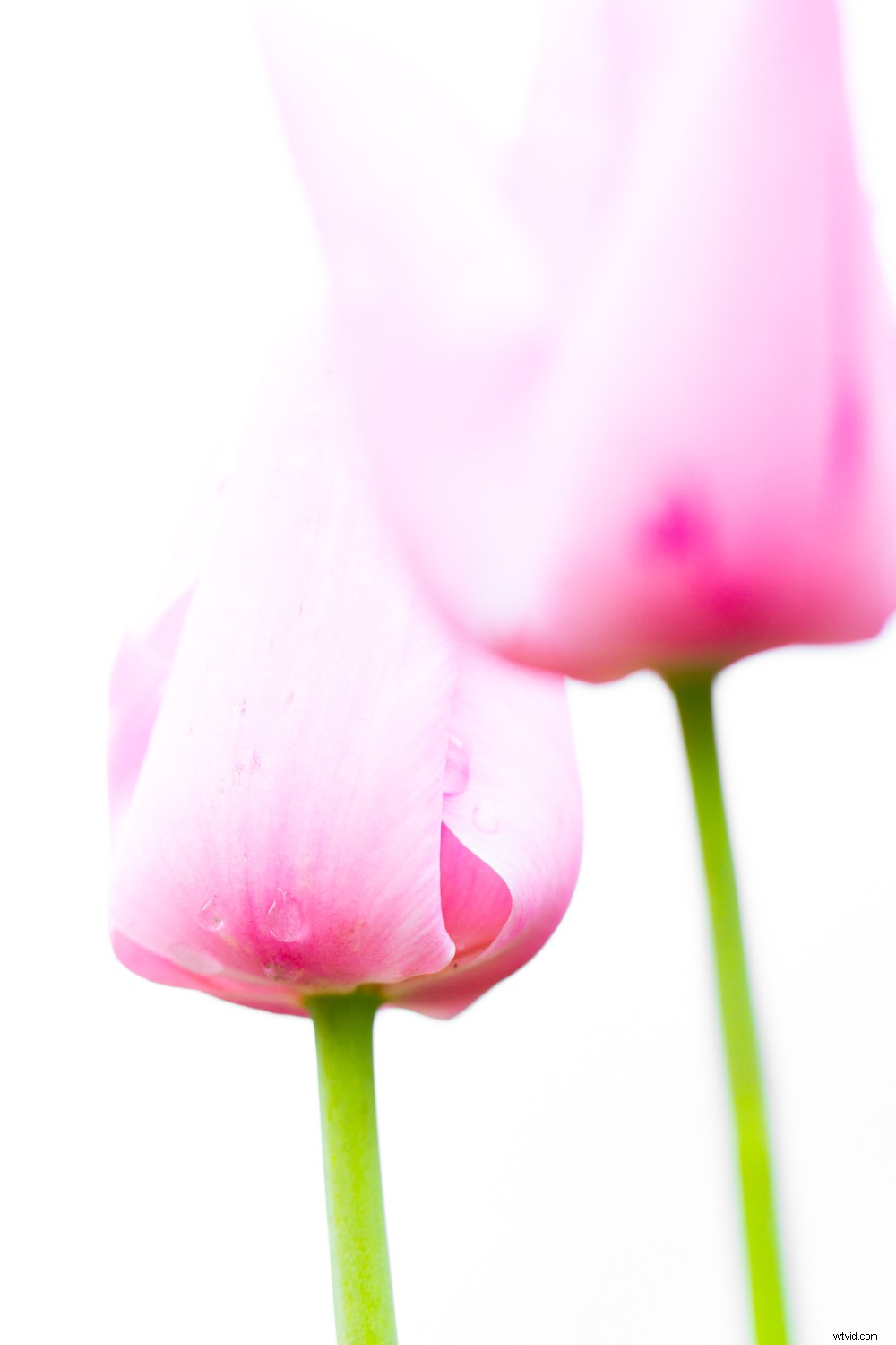 4 Quick Lightroom Edits to Make Your Photos Stand Out