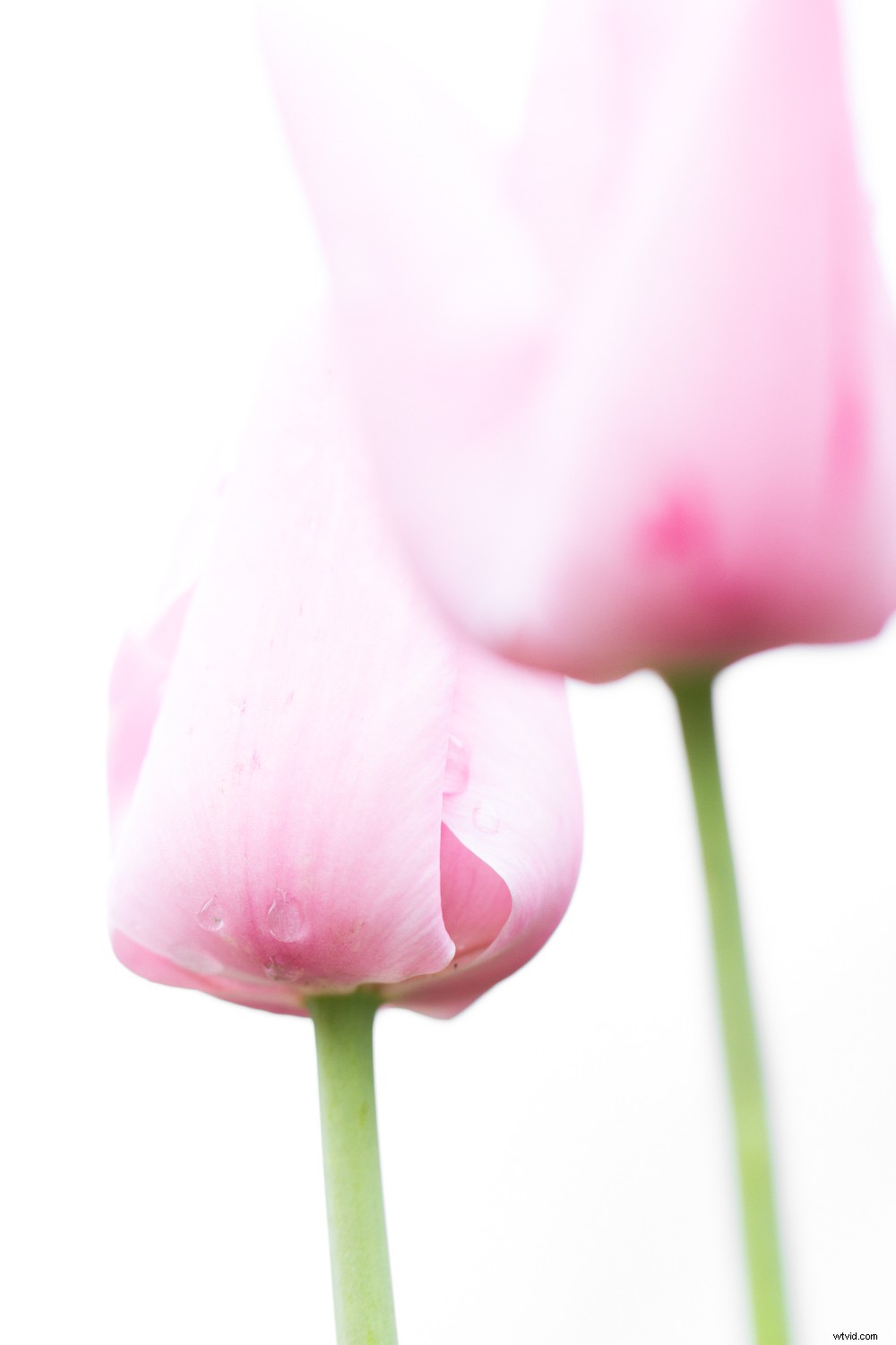 4 Quick Lightroom Edits to Make Your Photos Stand Out