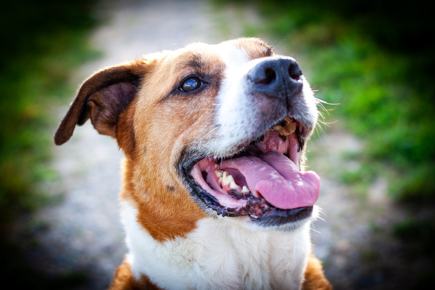 4 Quick Lightroom Edits to Make Your Photos Stand Out