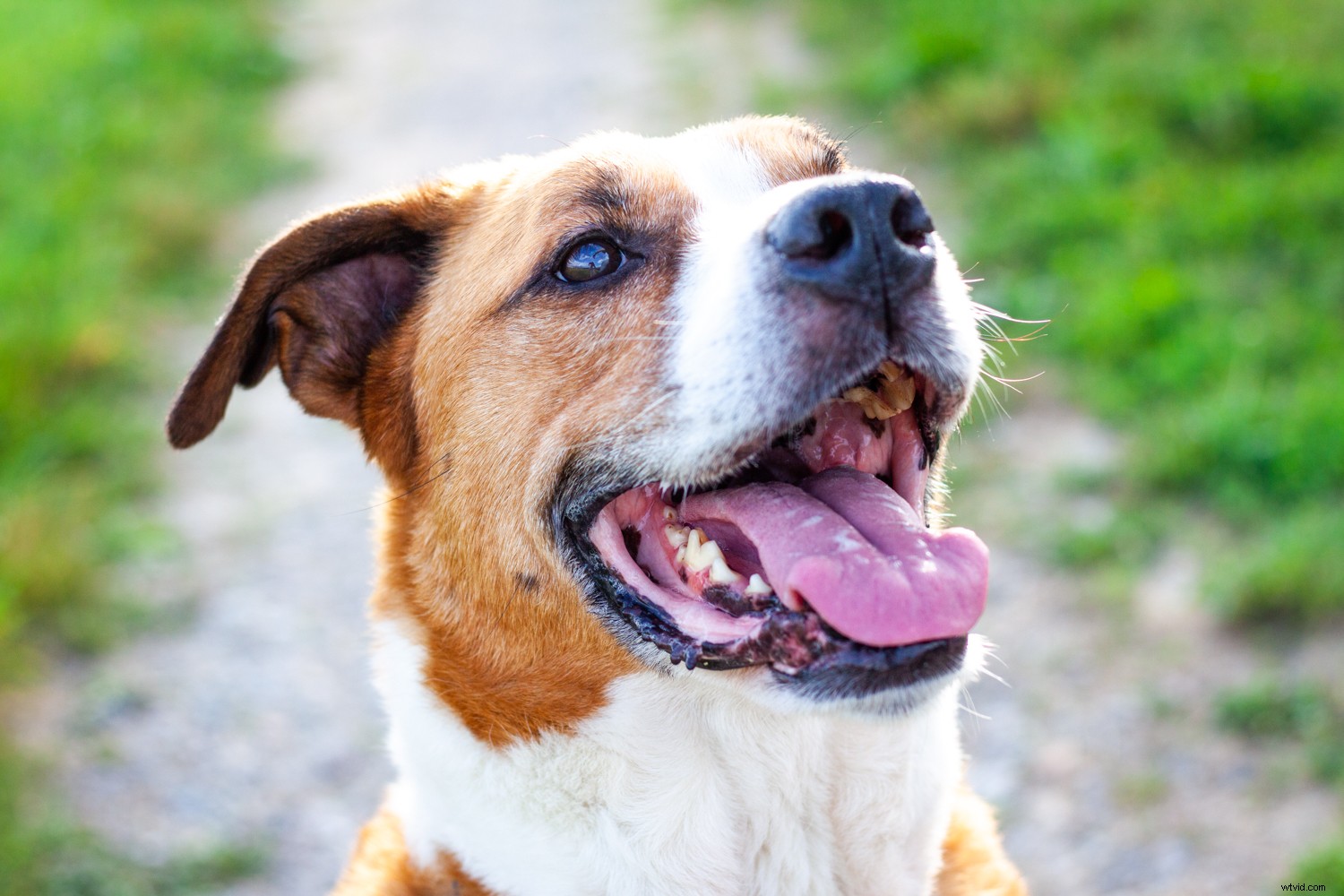 4 Quick Lightroom Edits to Make Your Photos Stand Out