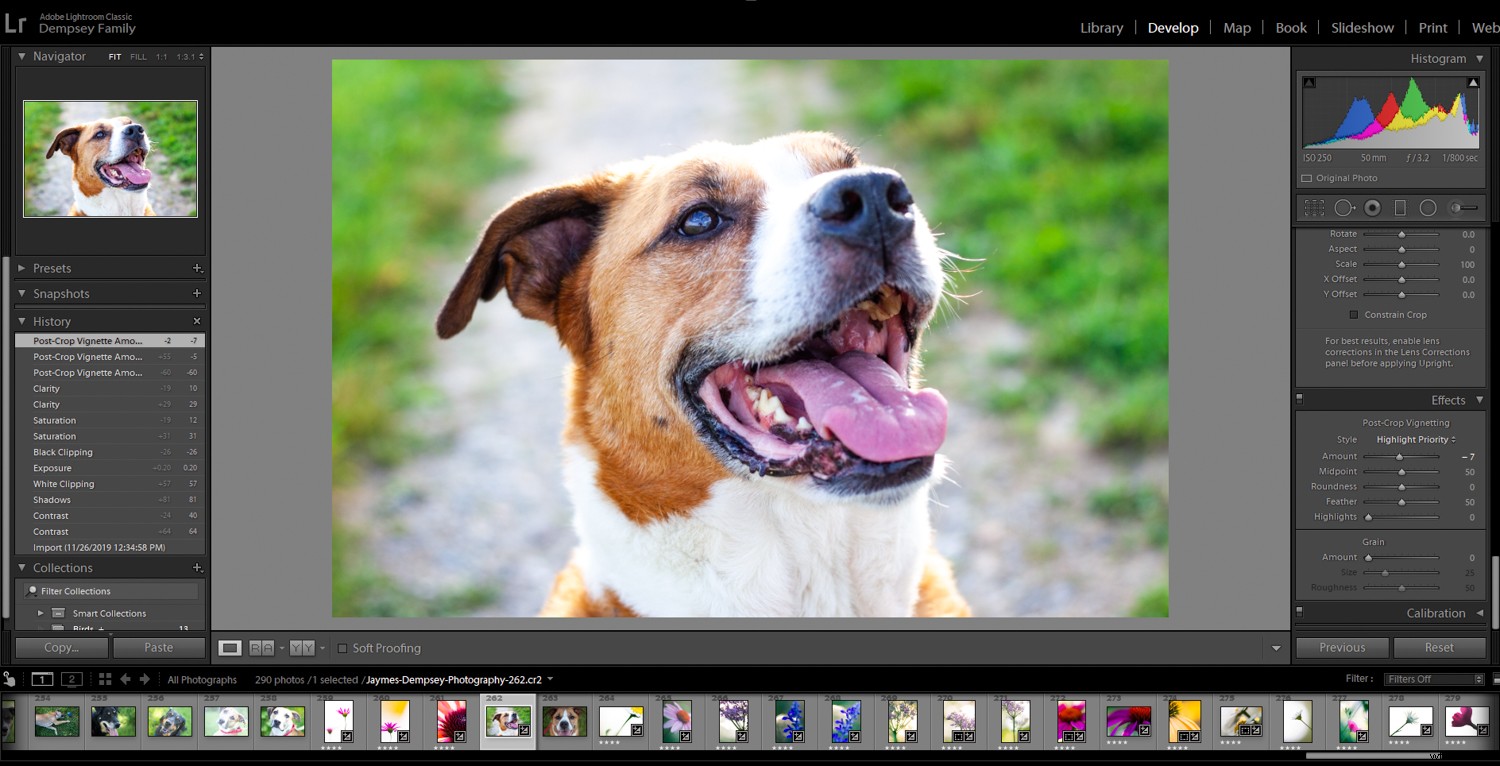 4 Quick Lightroom Edits to Make Your Photos Stand Out