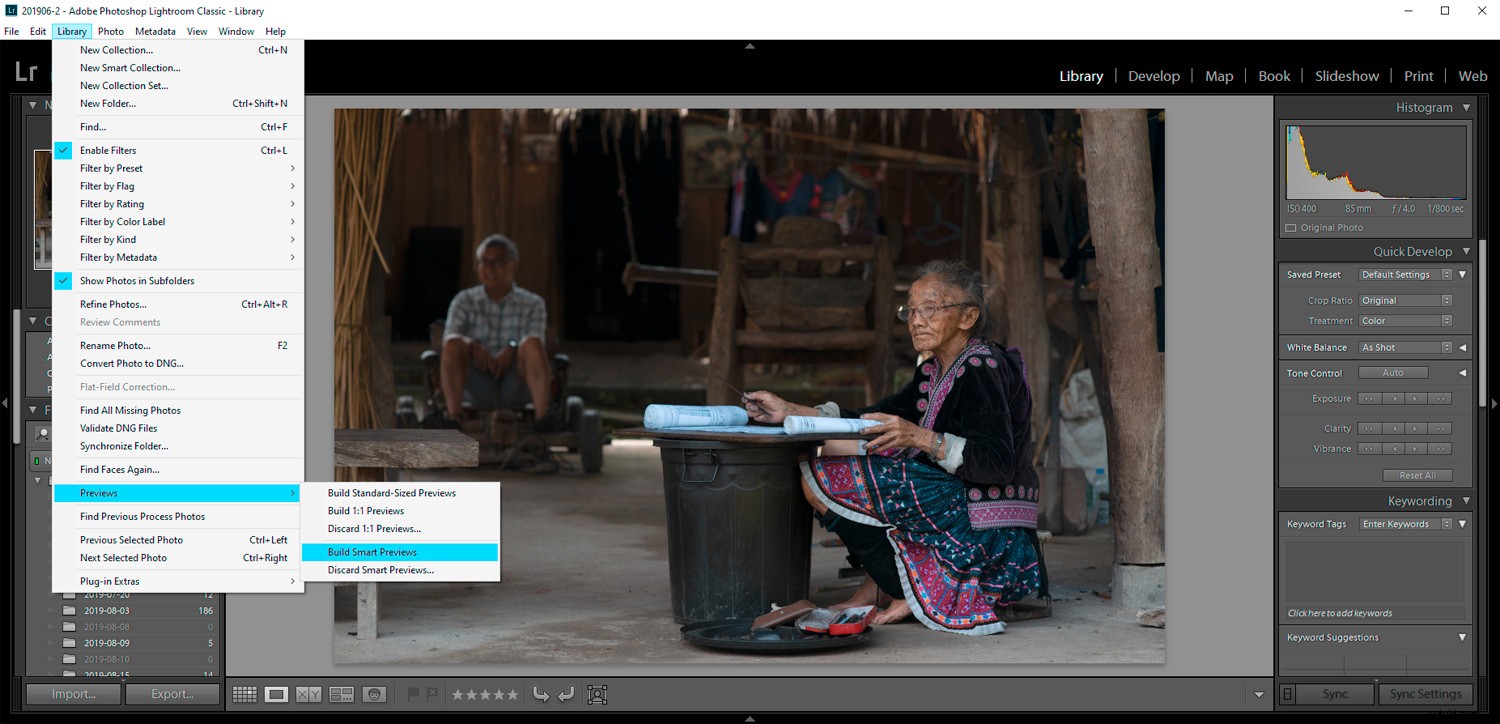 Boost Your Lightroom Workflow: Benefits of Smart Previews in CC & Classic + Easy Setup Guide