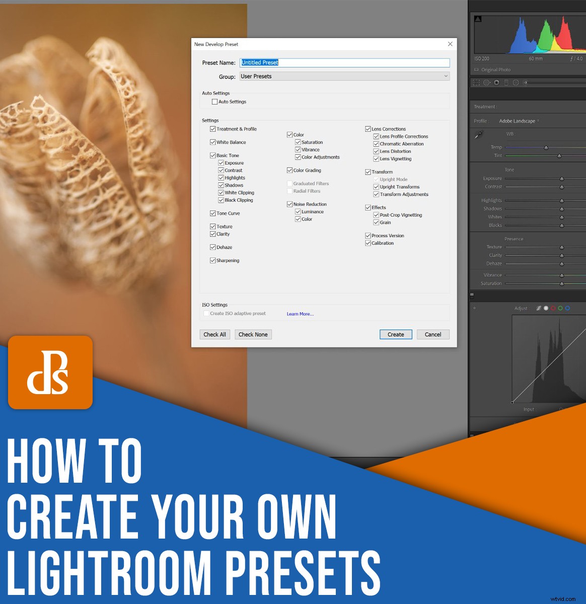 Step-by-Step Guide: How to Create Custom Lightroom Presets (2022)