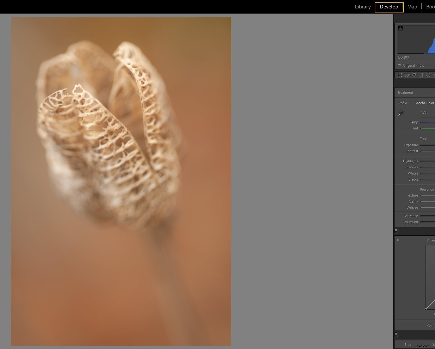 Step-by-Step Guide: How to Create Custom Lightroom Presets (2022)