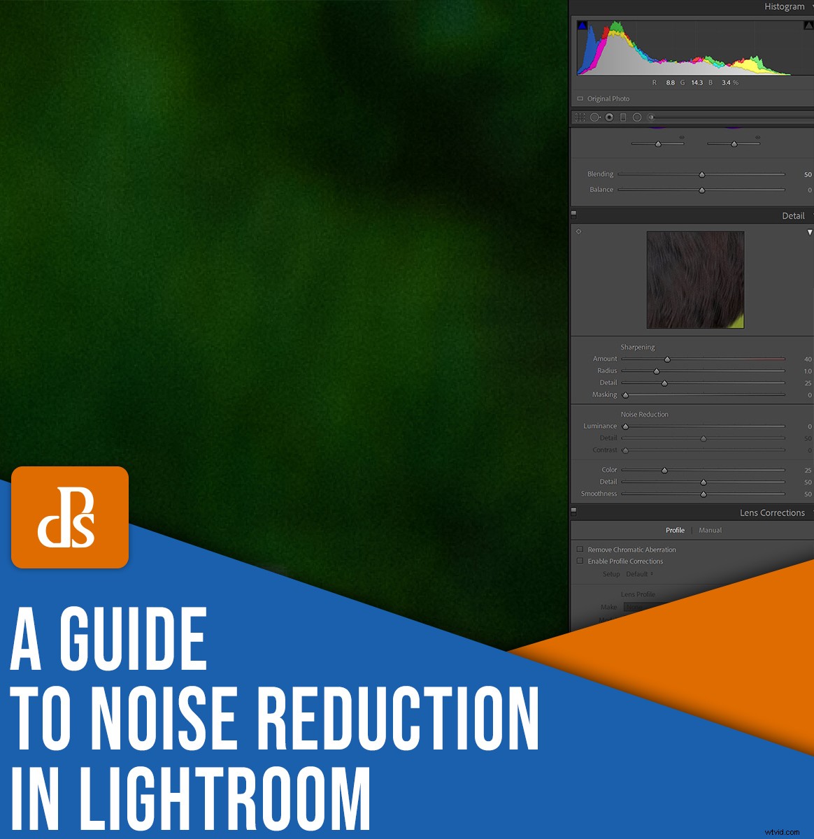 Master Noise Reduction in Lightroom: Step-by-Step 2022 Guide