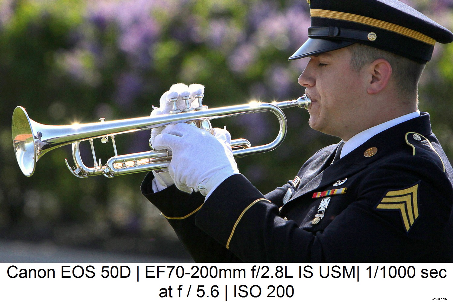 Master Background Blur in Lightroom: Complete Step-by-Step Guide