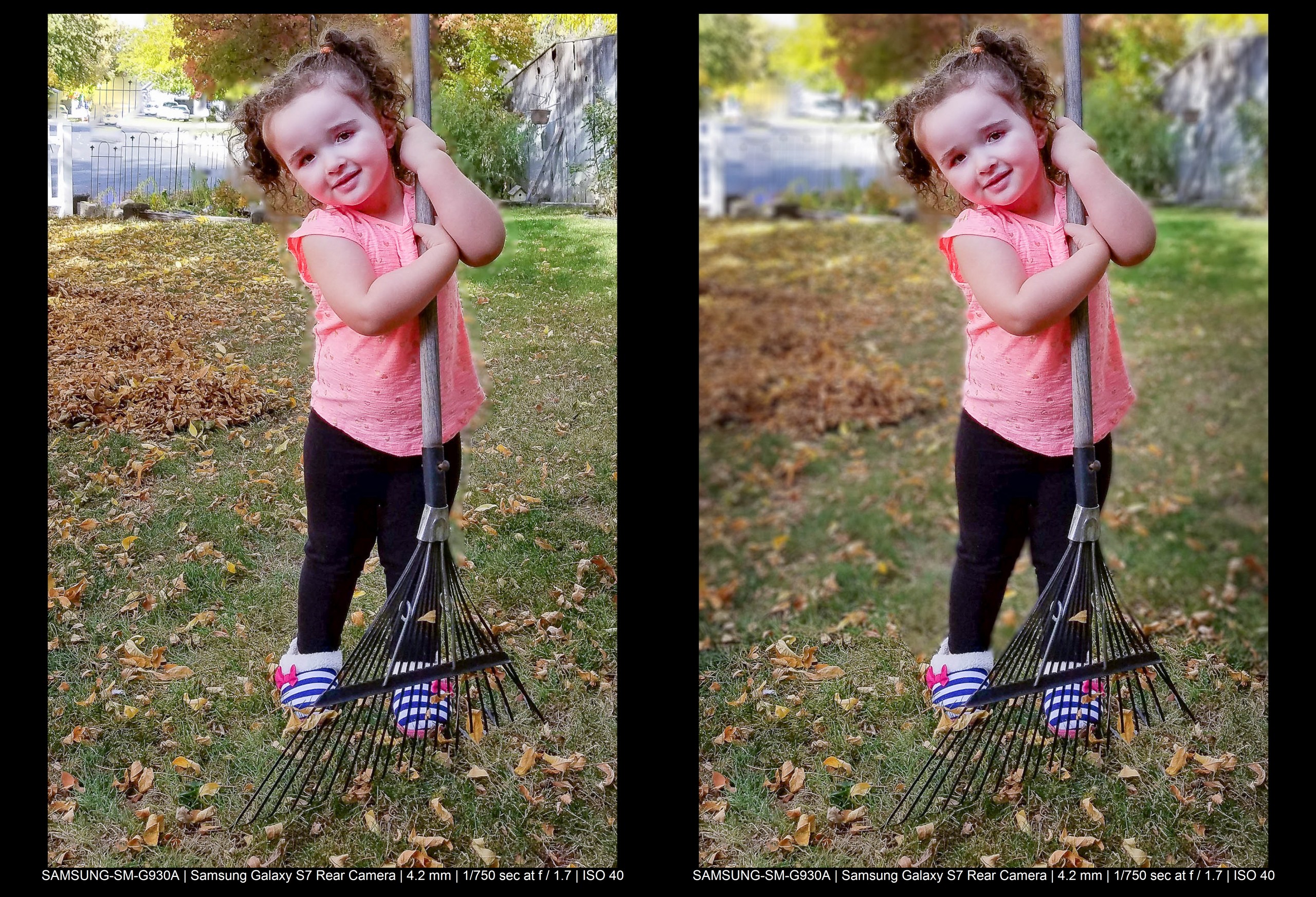 Master Background Blur in Lightroom: Complete Step-by-Step Guide