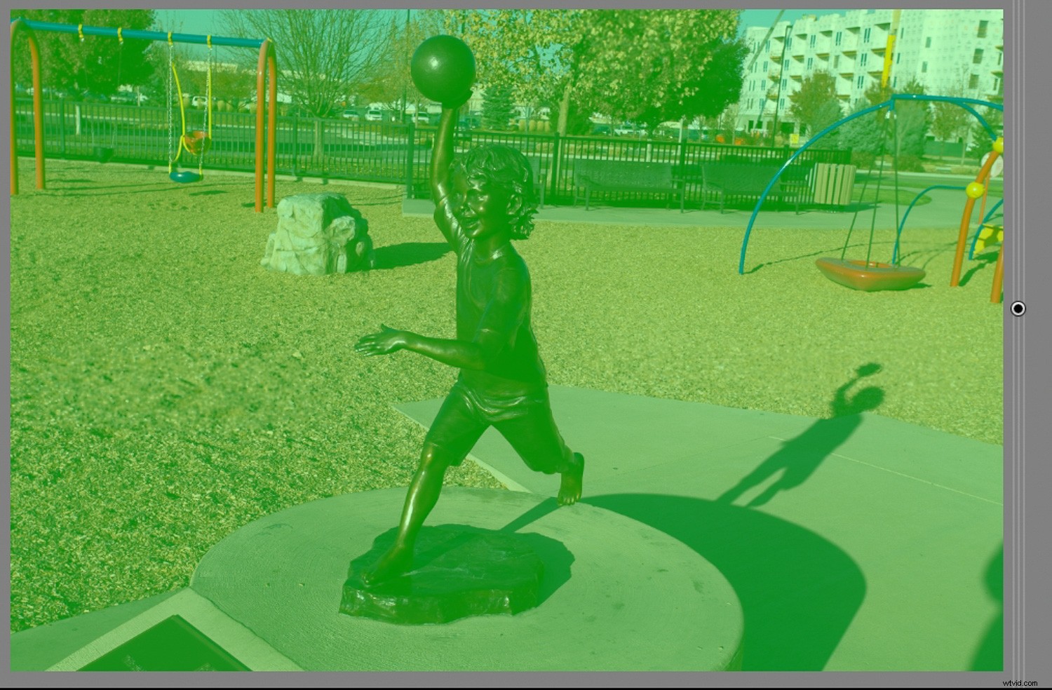 Master Background Blur in Lightroom: Complete Step-by-Step Guide