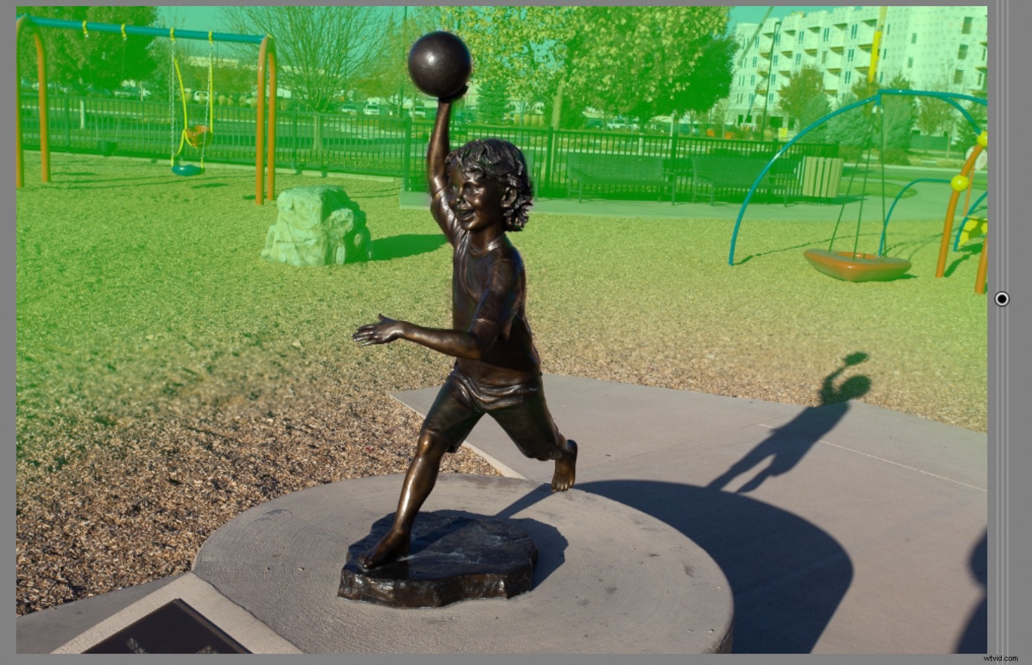 Master Background Blur in Lightroom: Complete Step-by-Step Guide