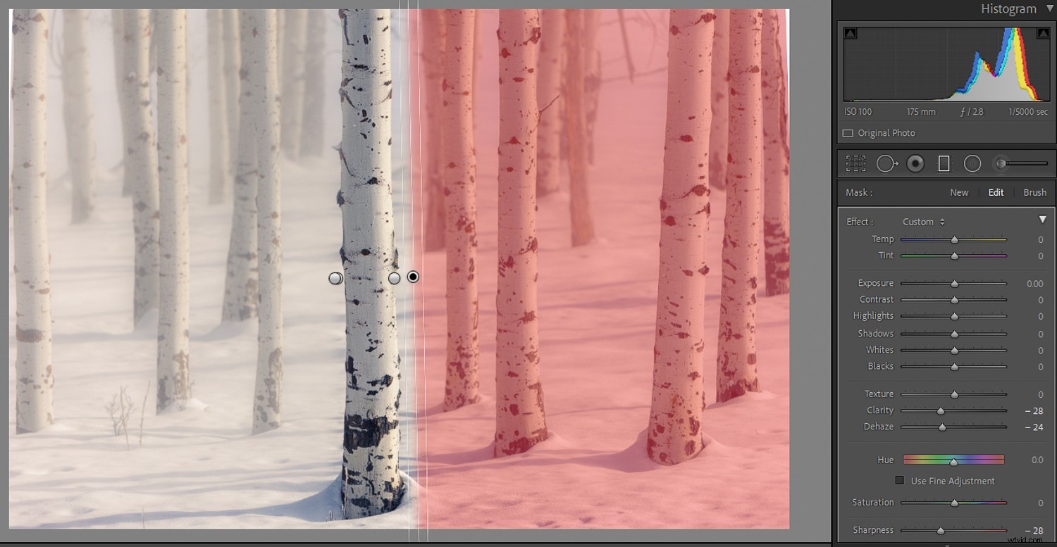 Master Background Blur in Lightroom: Complete Step-by-Step Guide