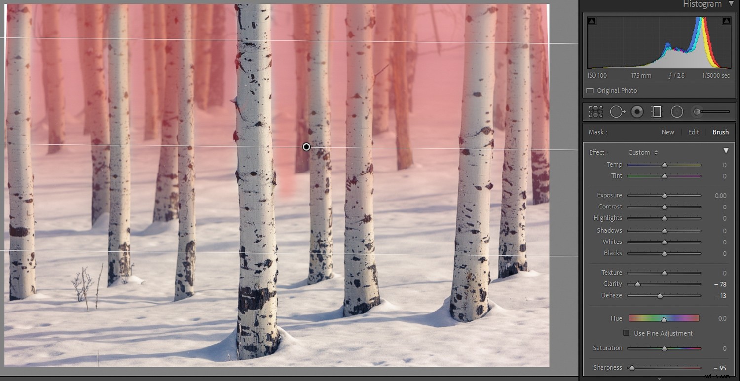 Master Background Blur in Lightroom: Complete Step-by-Step Guide