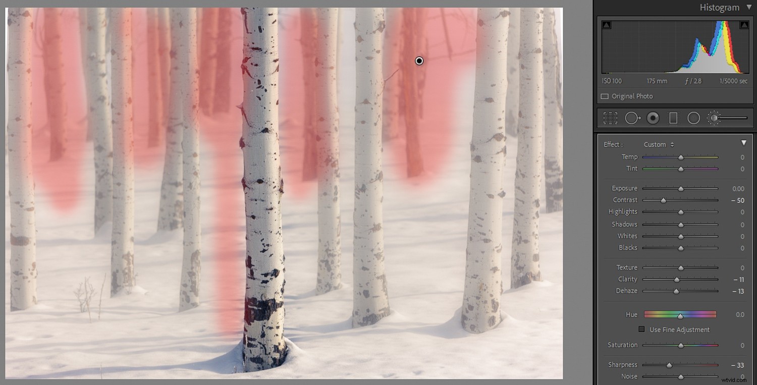 Master Background Blur in Lightroom: Complete Step-by-Step Guide