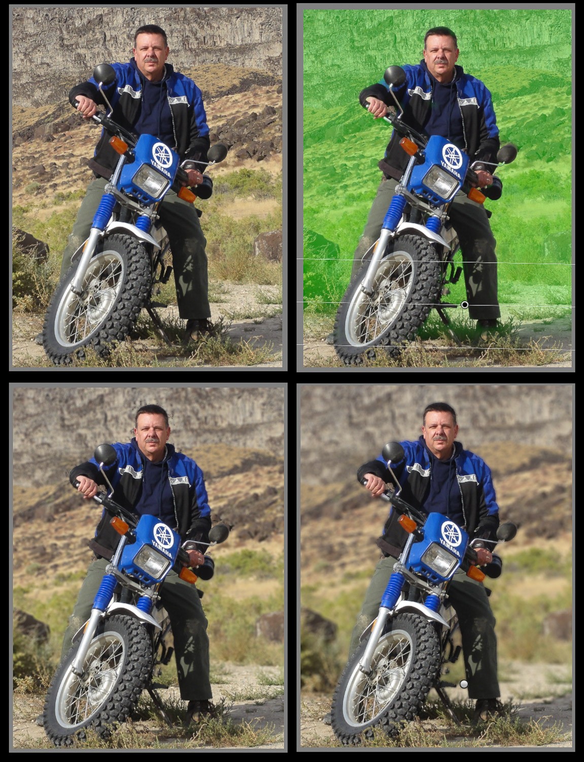 Master Background Blur in Lightroom: Complete Step-by-Step Guide