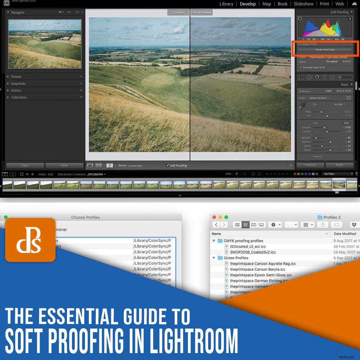 Master Soft Proofing in Lightroom: Essential Guide for Perfect Prints