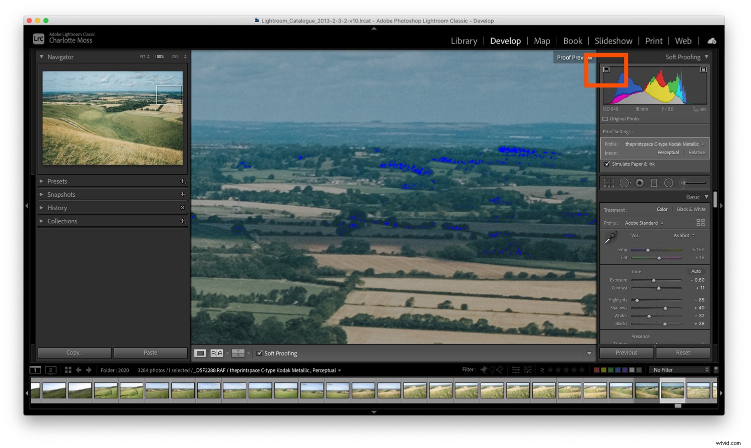 Master Soft Proofing in Lightroom: Essential Guide for Perfect Prints