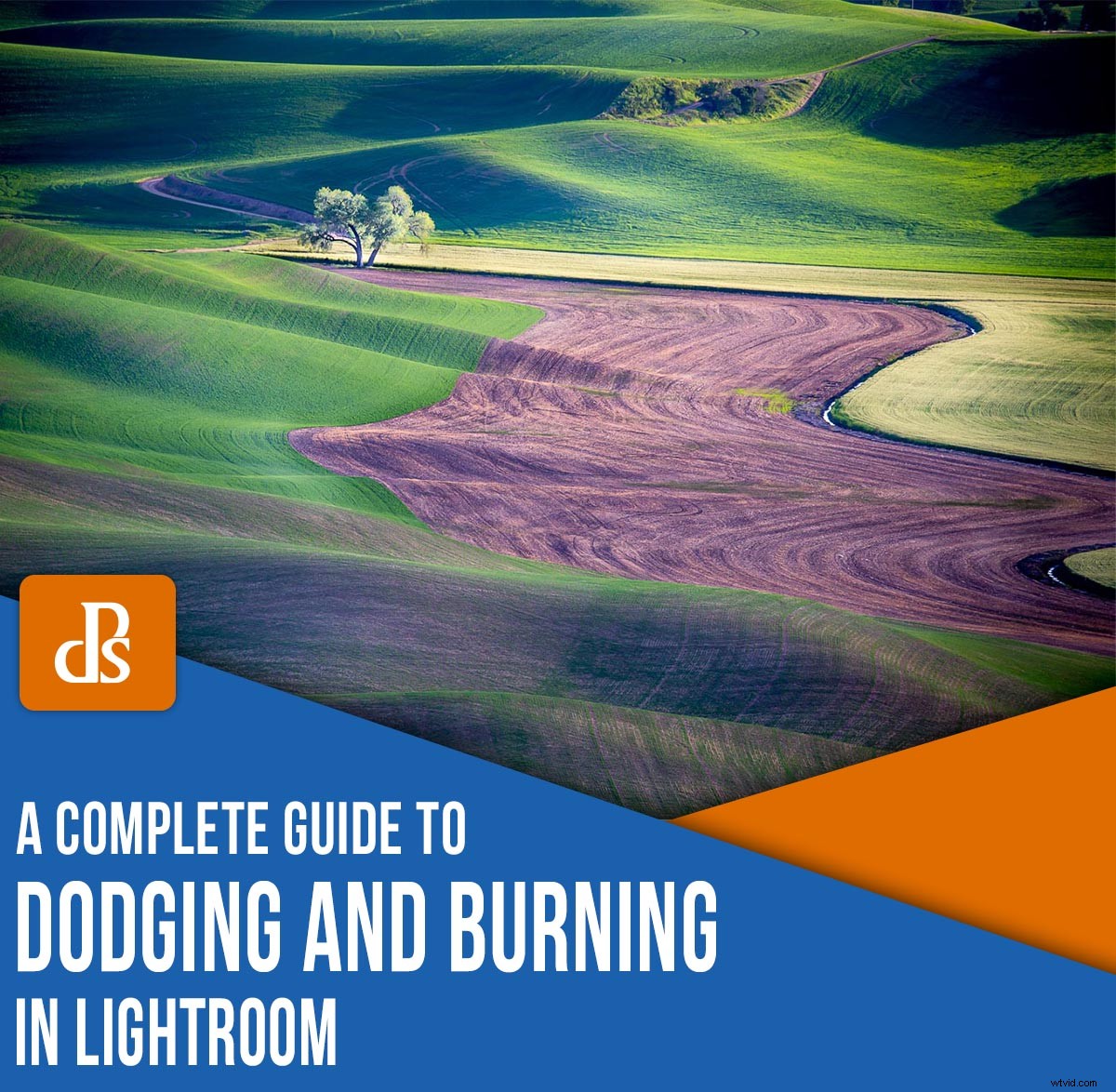 Master Dodging and Burning in Lightroom: Ultimate Pro Guide