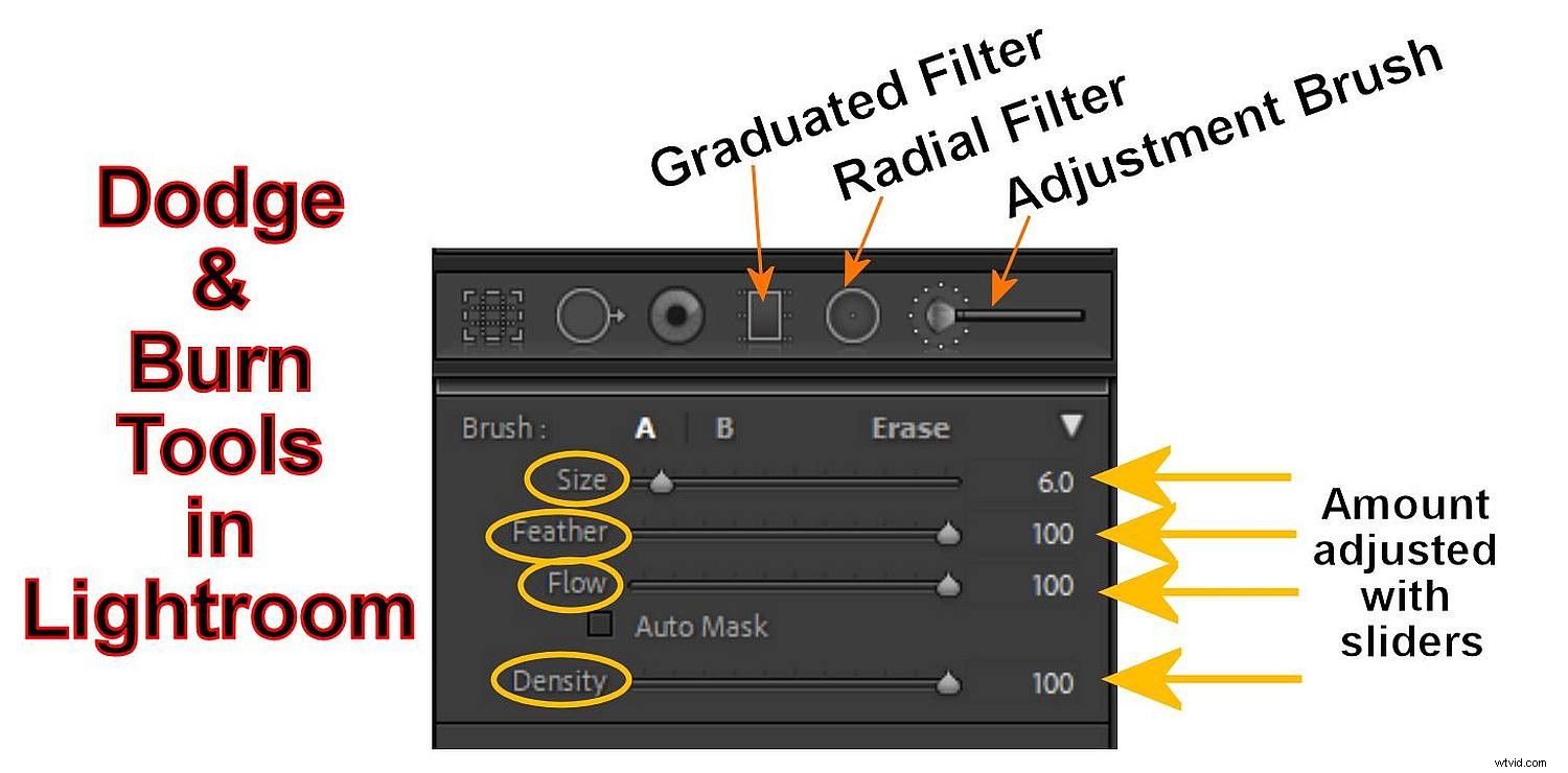 Master Dodging and Burning in Lightroom: Ultimate Pro Guide