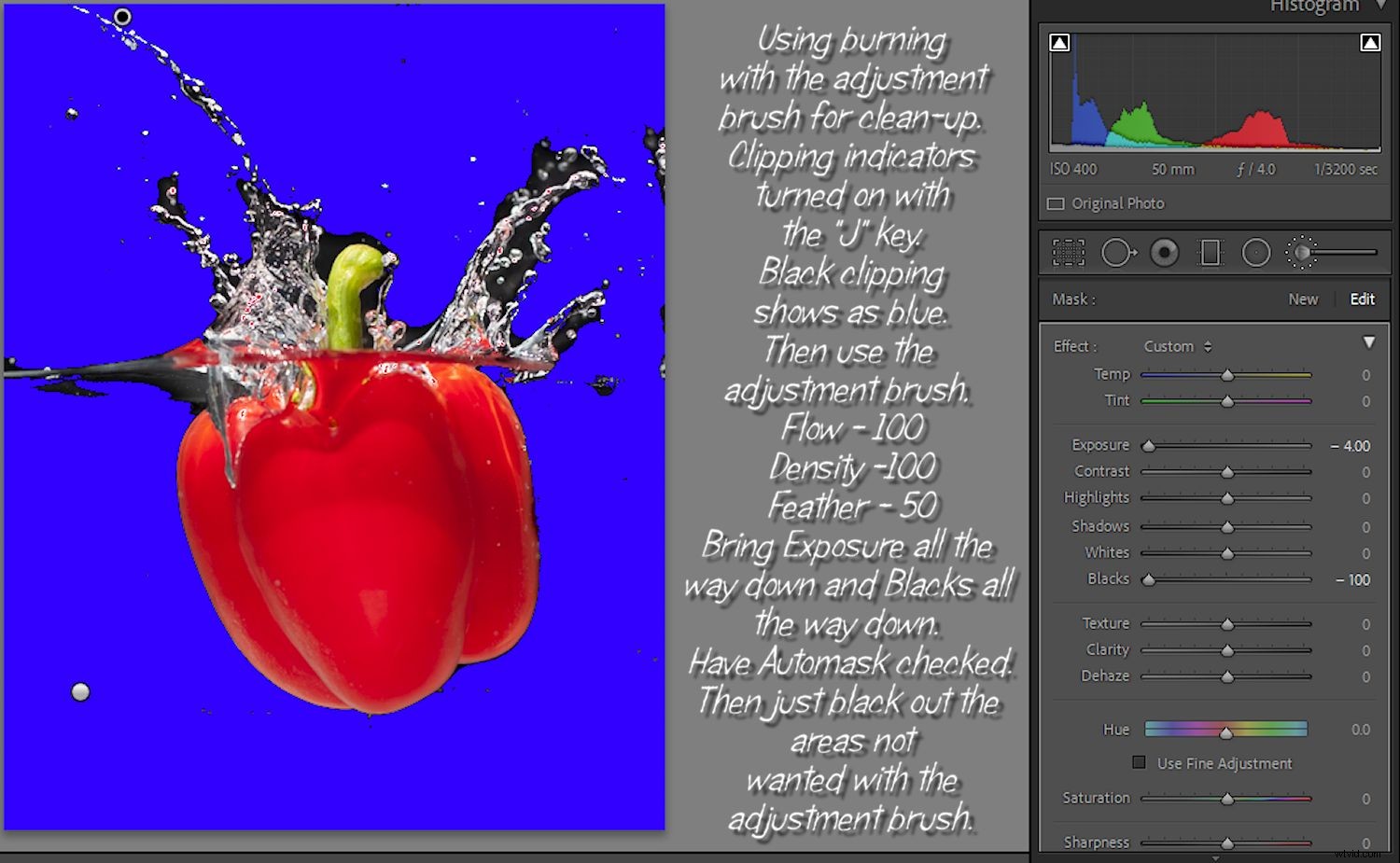 Master Dodging and Burning in Lightroom: Ultimate Pro Guide