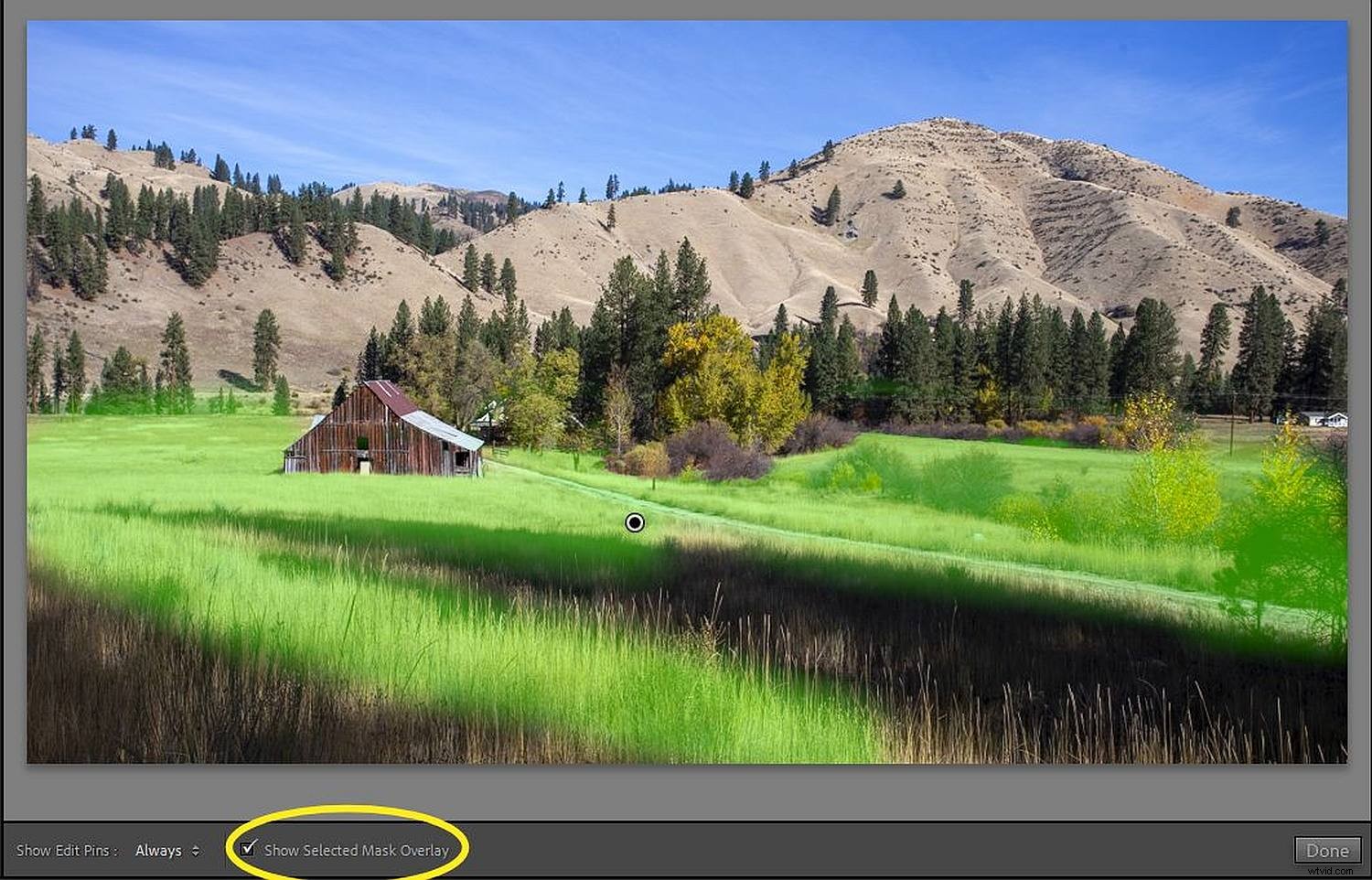Master Dodging and Burning in Lightroom: Ultimate Pro Guide