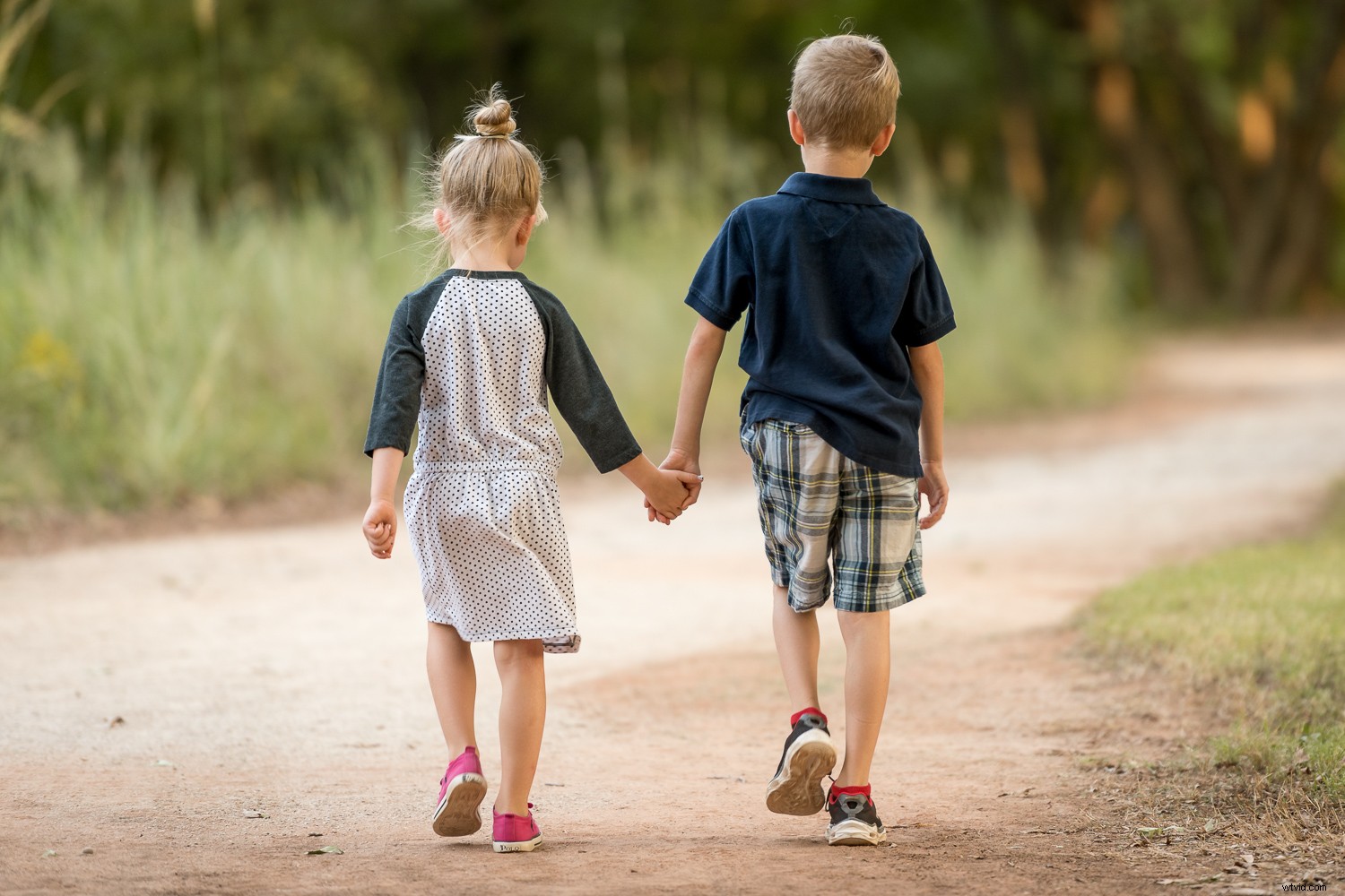 Master Lightroom Color Grading: Easy Guide to Transform Your Photos