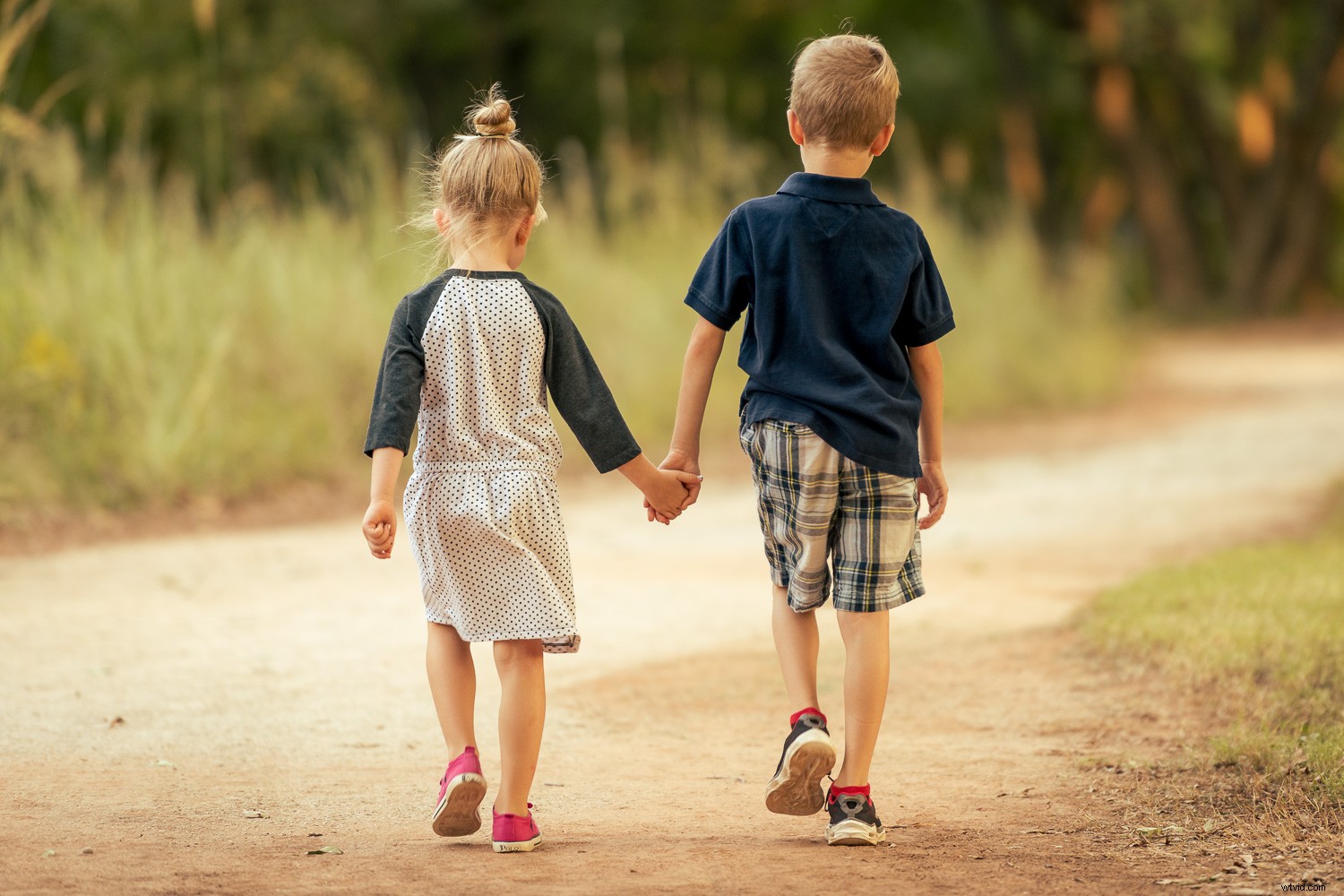 Master Lightroom Color Grading: Easy Guide to Transform Your Photos