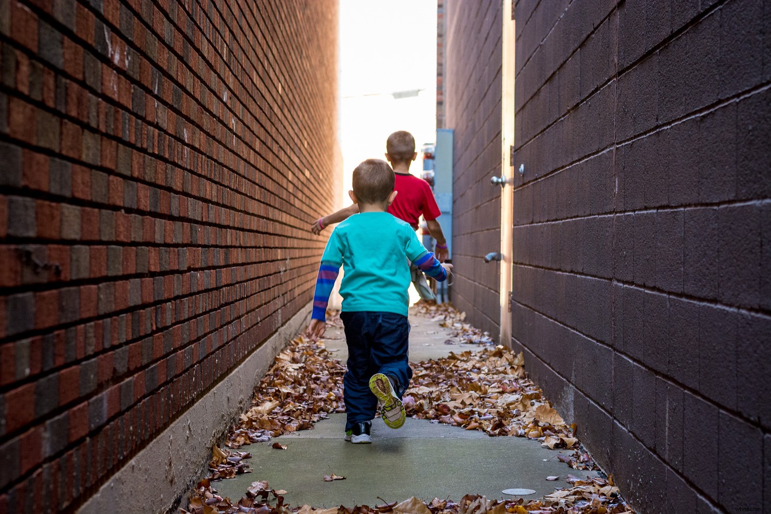 Master Lightroom Color Grading: Easy Guide to Transform Your Photos