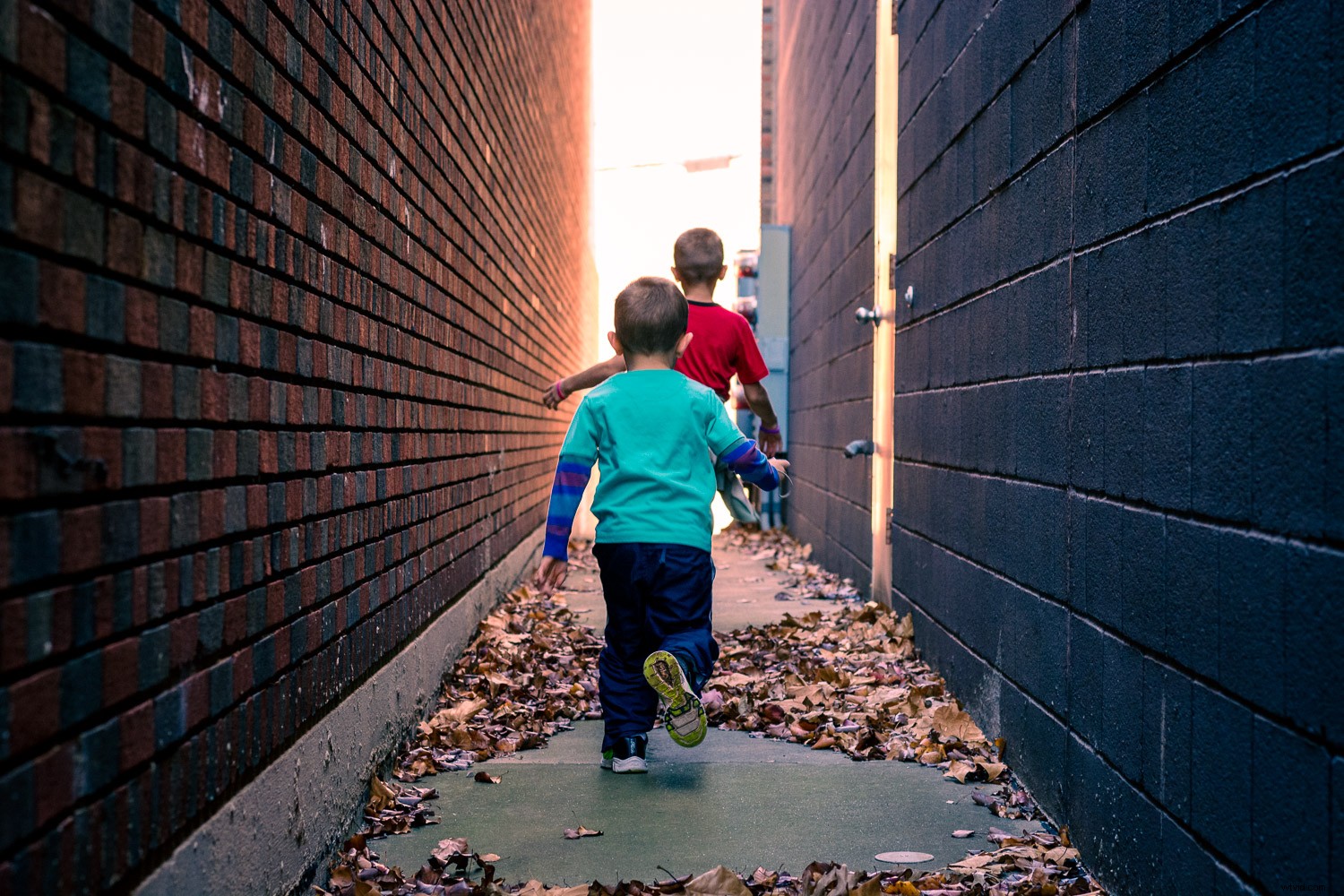 Master Lightroom Color Grading: Easy Guide to Transform Your Photos