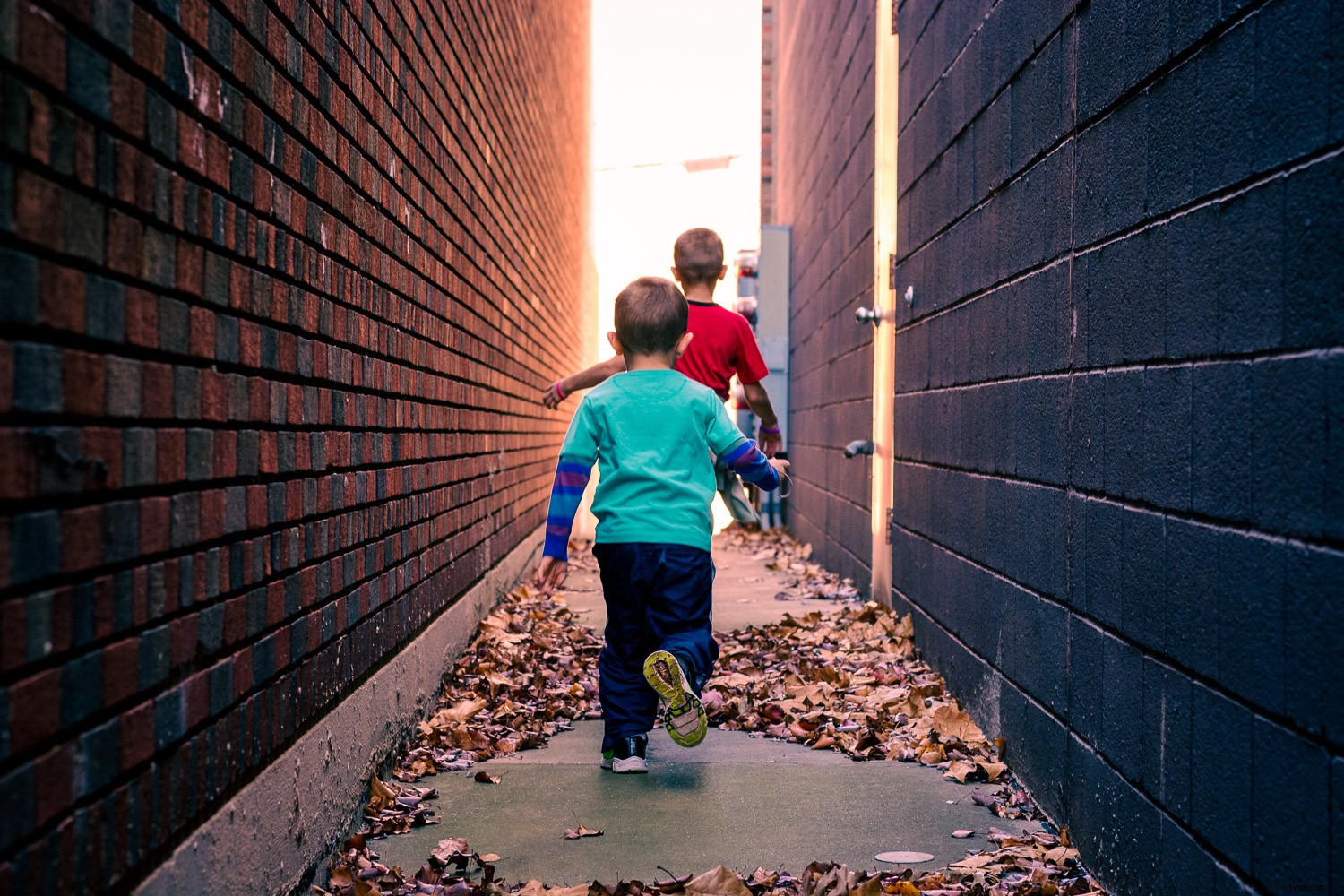 Master Lightroom Color Grading: Easy Guide to Transform Your Photos