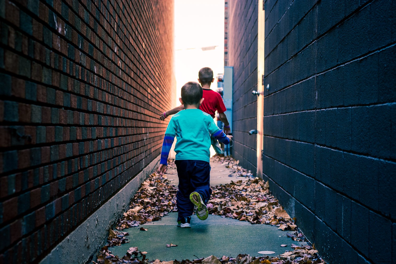 Master Lightroom Color Grading: Easy Guide to Transform Your Photos