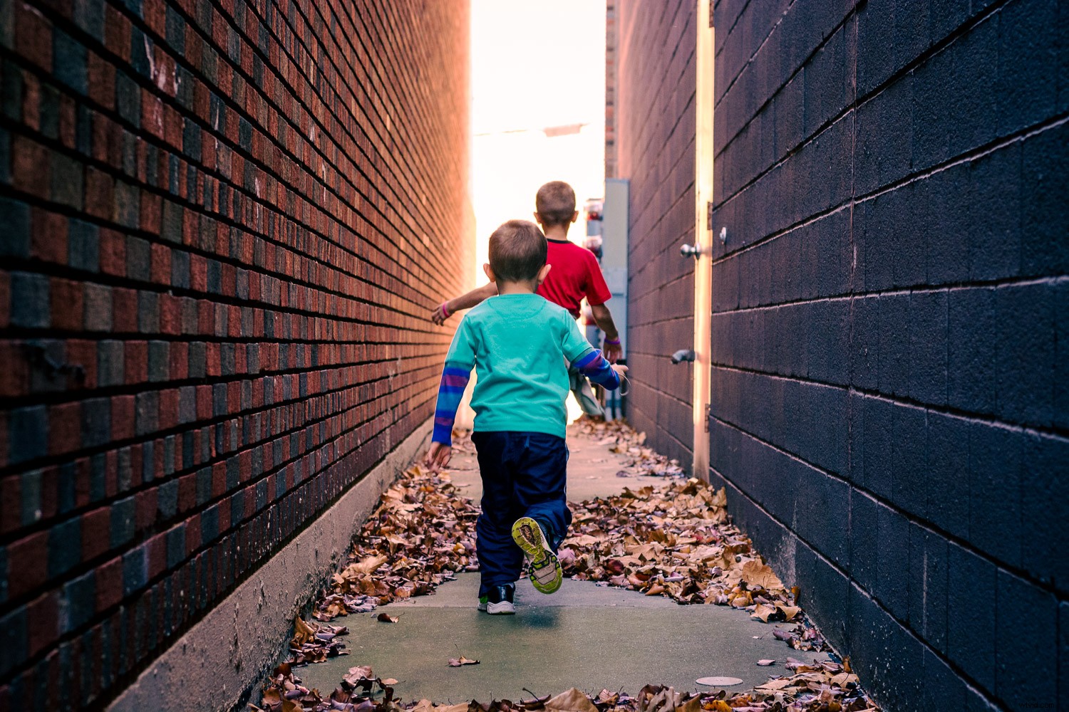 Master Lightroom Color Grading: Easy Guide to Transform Your Photos