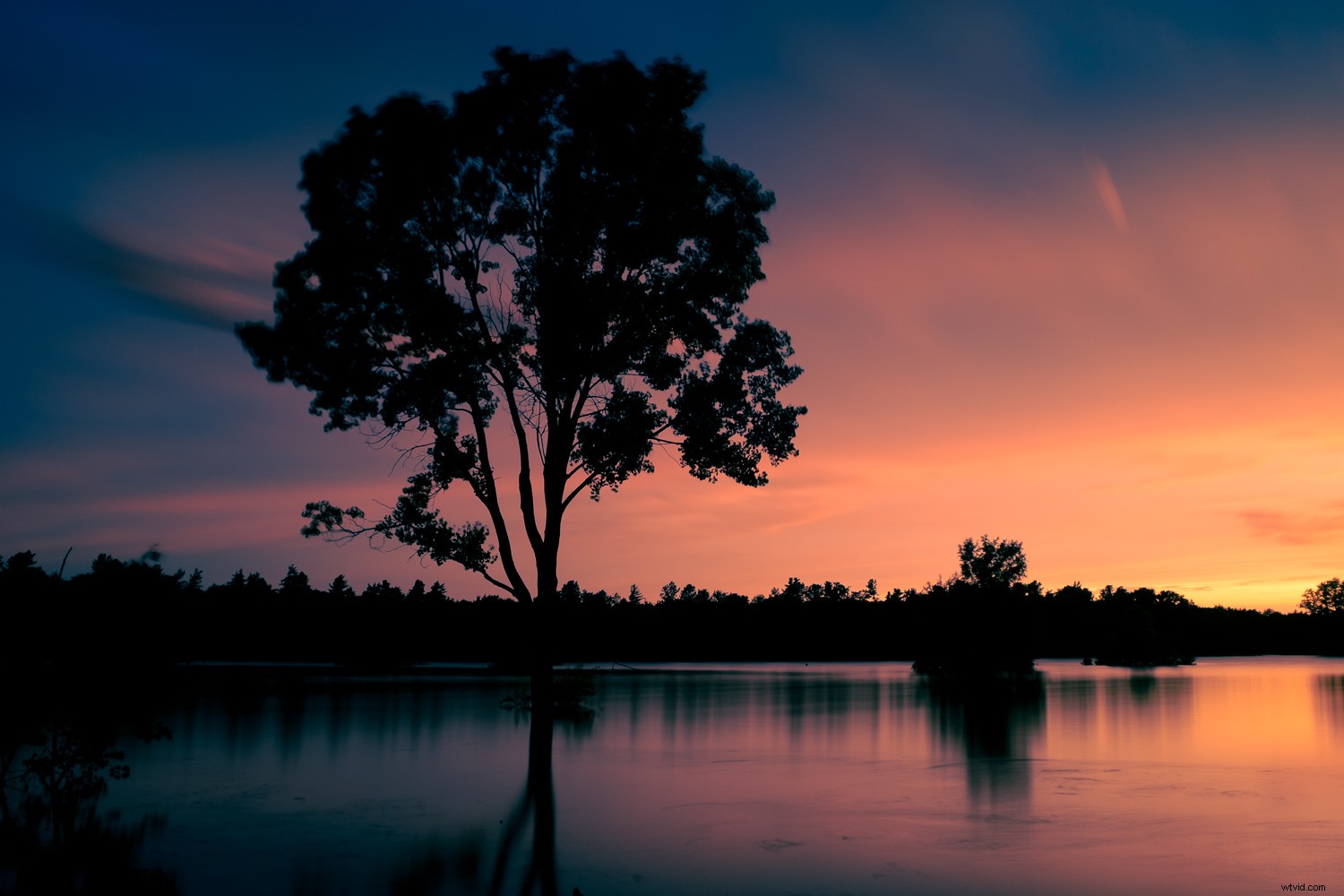 Master Lightroom Color Grading: Easy Guide to Transform Your Photos