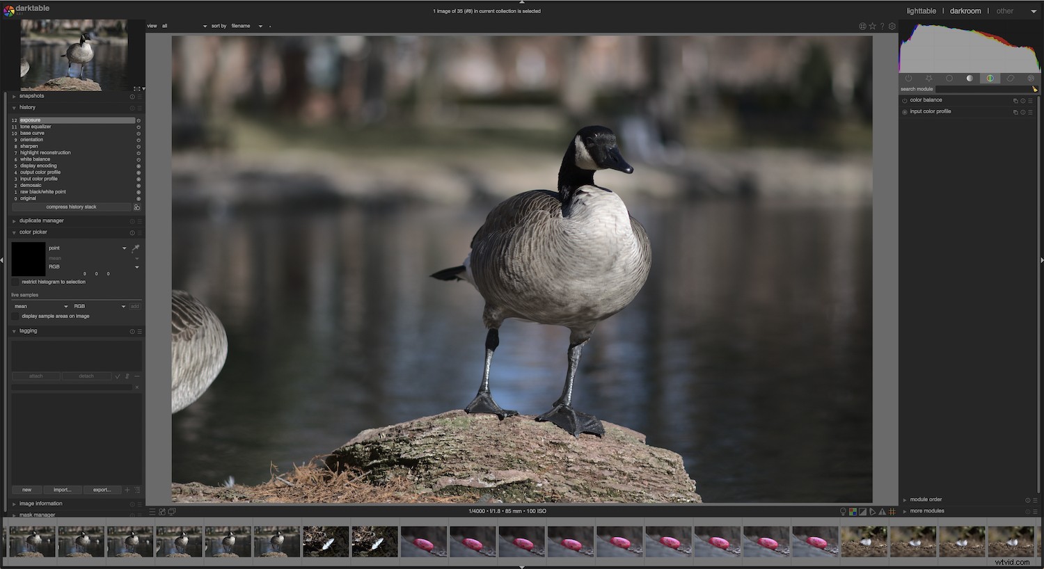 Darktable Review: The Best Free Open-Source Alternative to Adobe Lightroom?