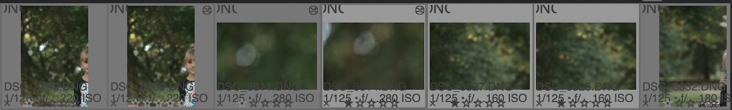 Darktable Review: The Best Free Open-Source Alternative to Adobe Lightroom?