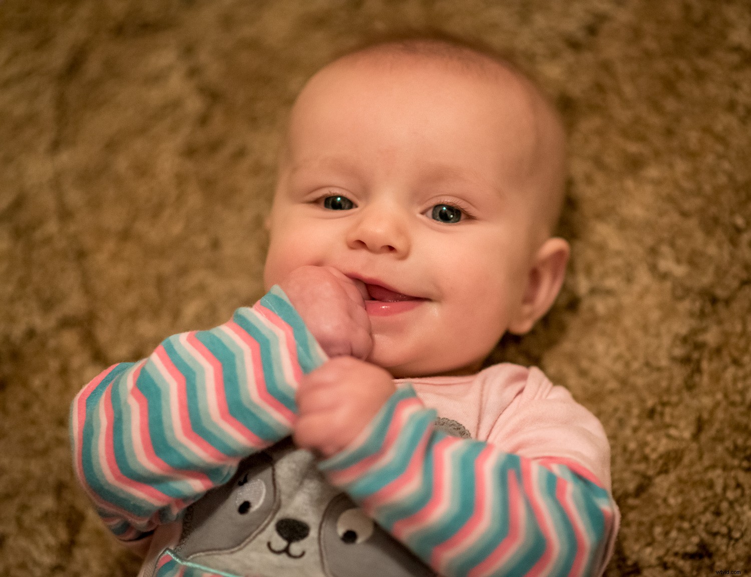 Mastering Lightroom Noise Reduction: Essential Guide to Crystal-Clear High ISO Images