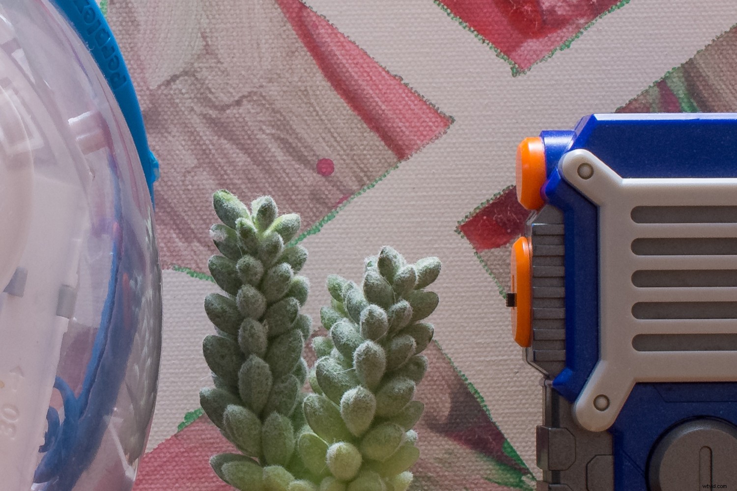 Mastering Lightroom Noise Reduction: Essential Guide to Crystal-Clear High ISO Images