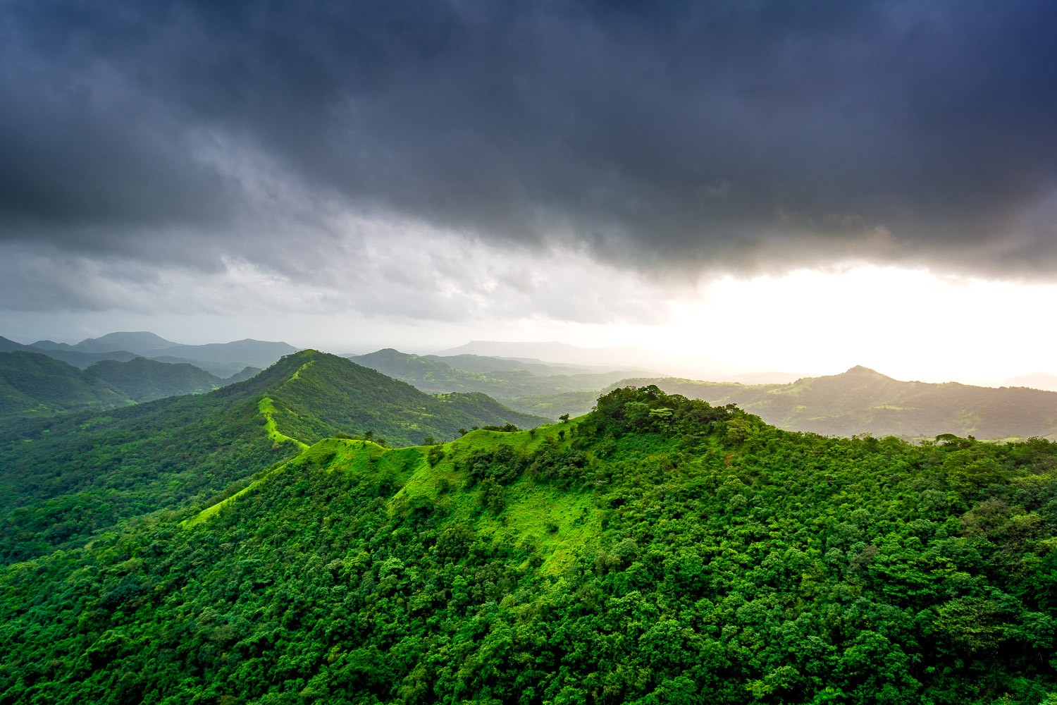 3 Essential Lightroom Tools to Elevate Your Nature & Wildlife Photography