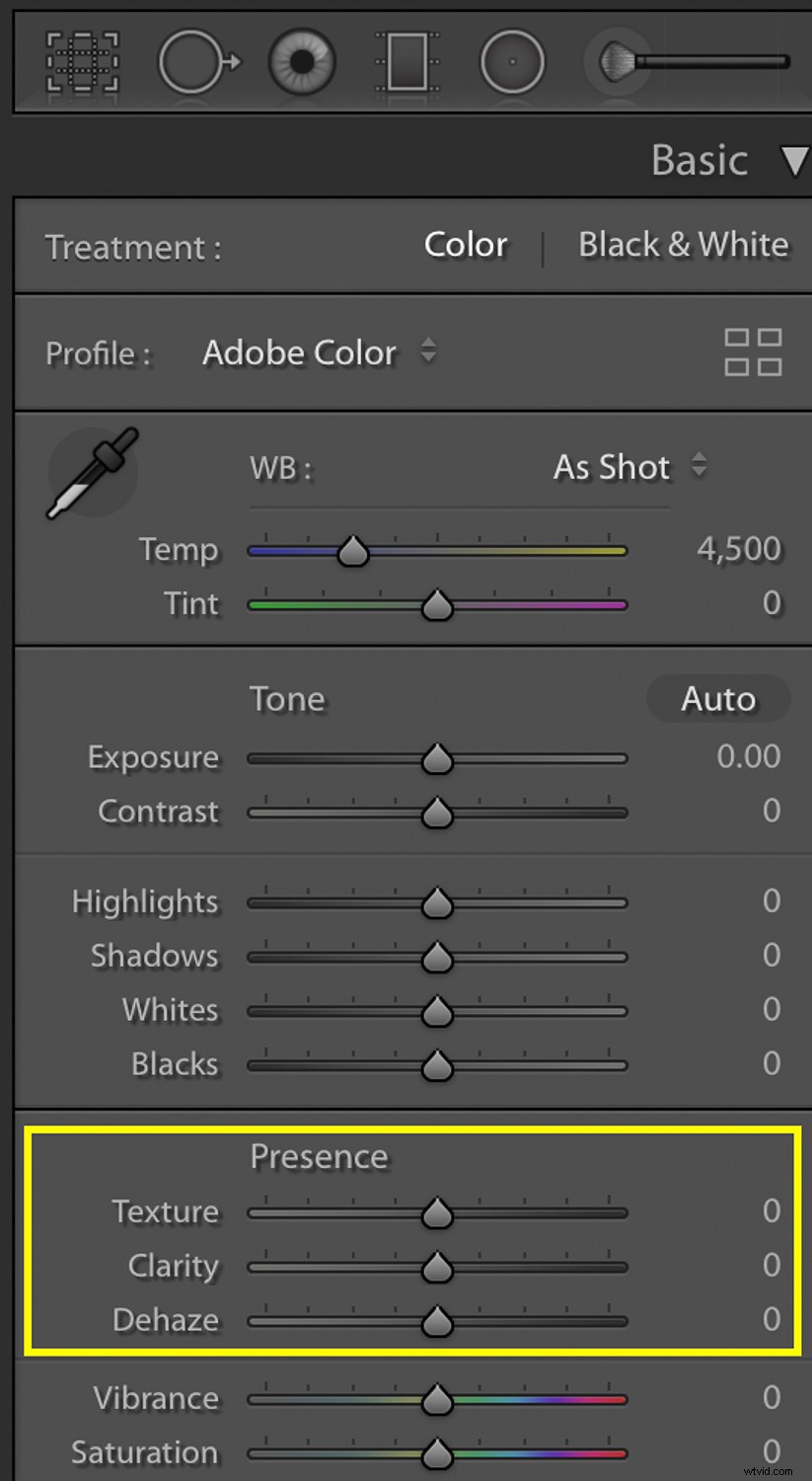 3 Essential Lightroom Tools to Elevate Your Nature & Wildlife Photography