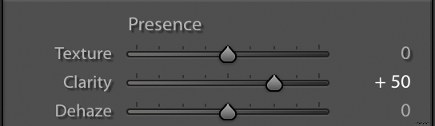3 Essential Lightroom Tools to Elevate Your Nature & Wildlife Photography