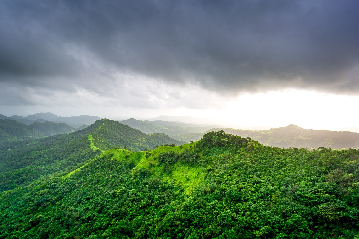 3 Essential Lightroom Tools to Elevate Your Nature & Wildlife Photography