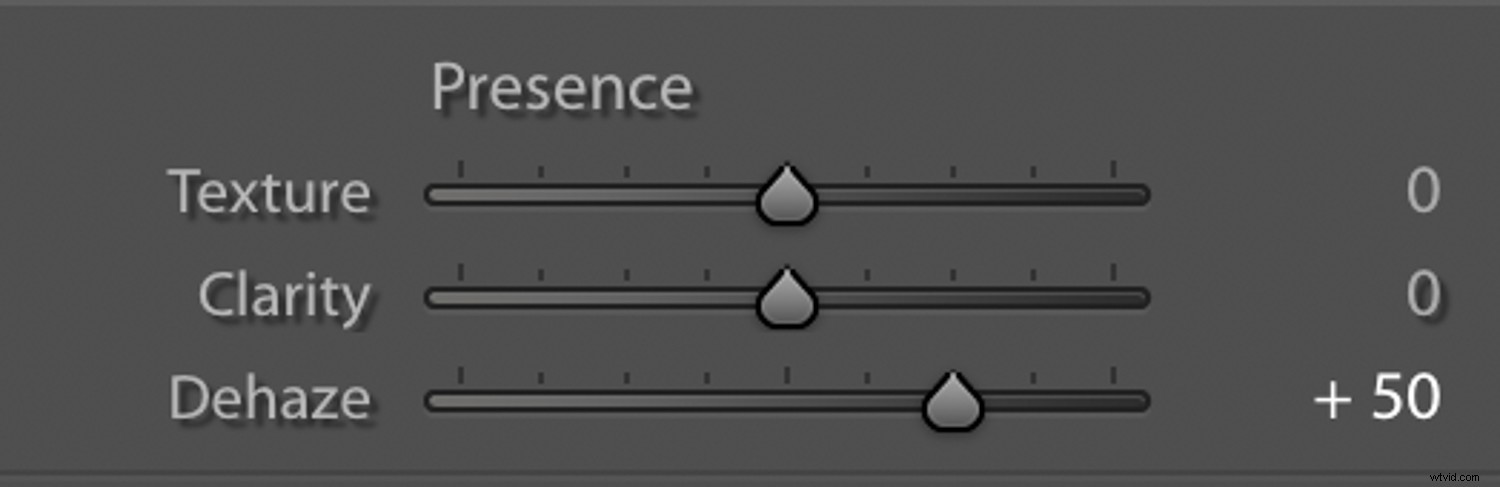 3 Essential Lightroom Tools to Elevate Your Nature & Wildlife Photography