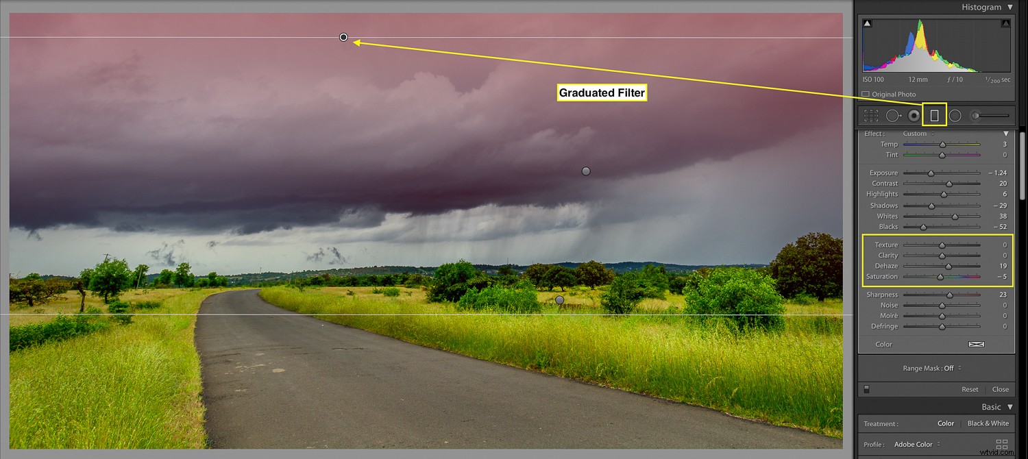3 Essential Lightroom Tools to Elevate Your Nature & Wildlife Photography